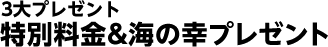���ʗ������C�̍K�v���[���g